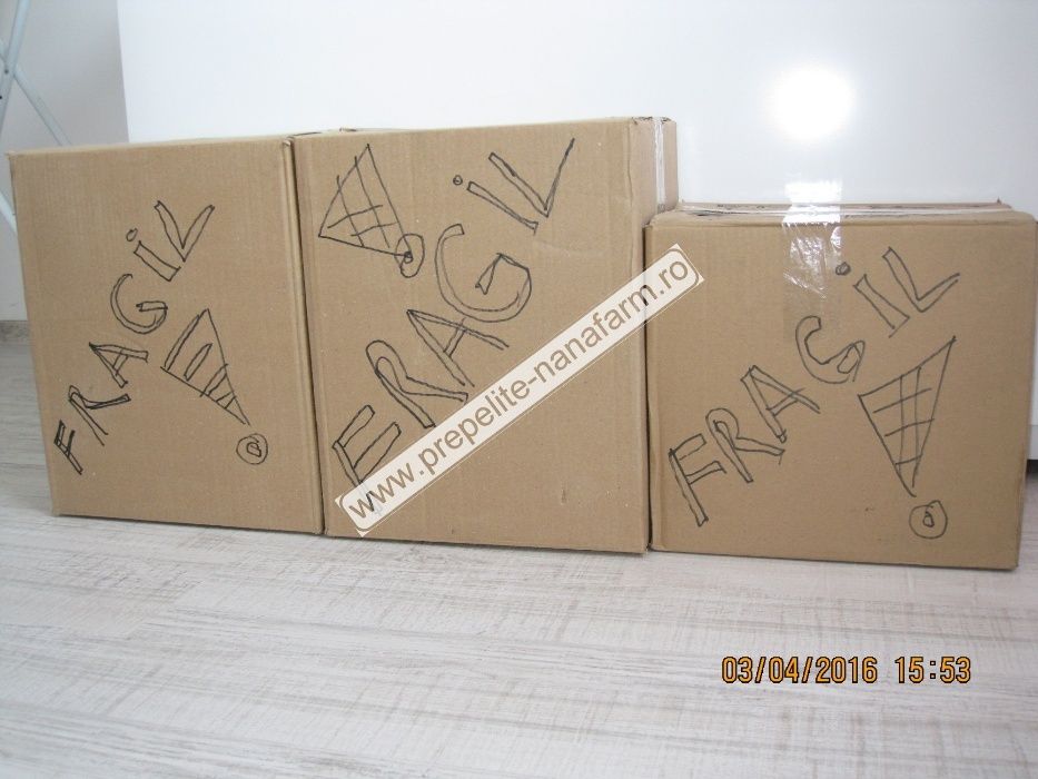 cusca 80 prepelite+adapatori automate