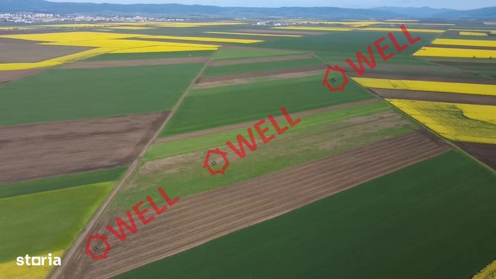 5 terenuri agricole de vânzare în Sântionlunca!
