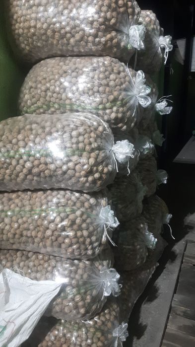 Орехи грецкие жангак