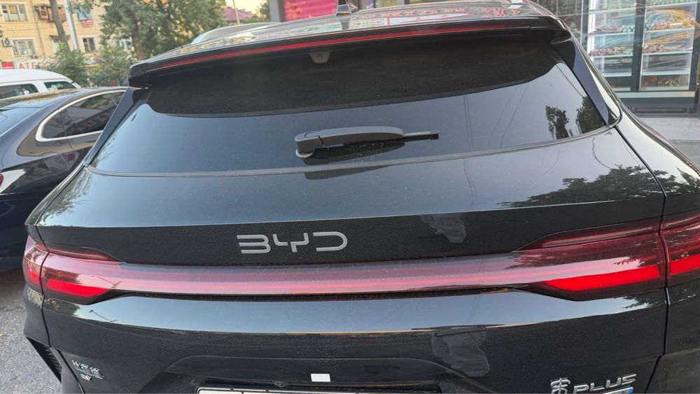 byd champion smart 605km