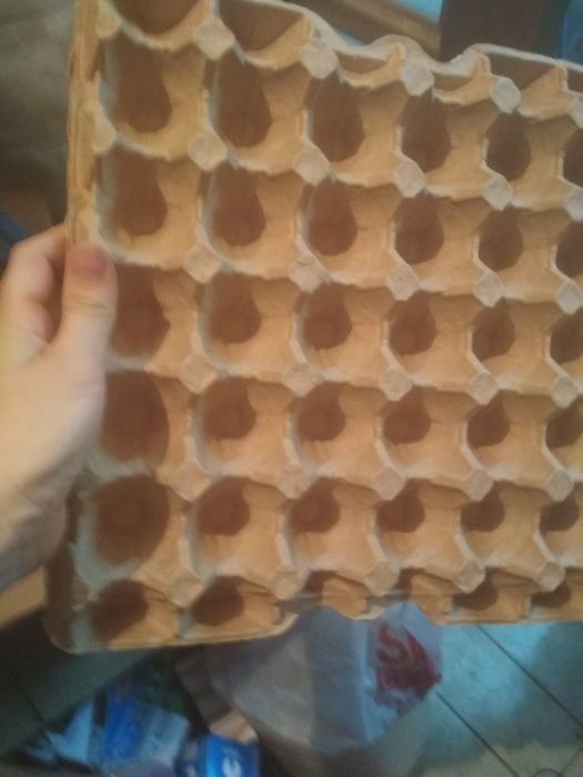 Каретки для яиц 10тг