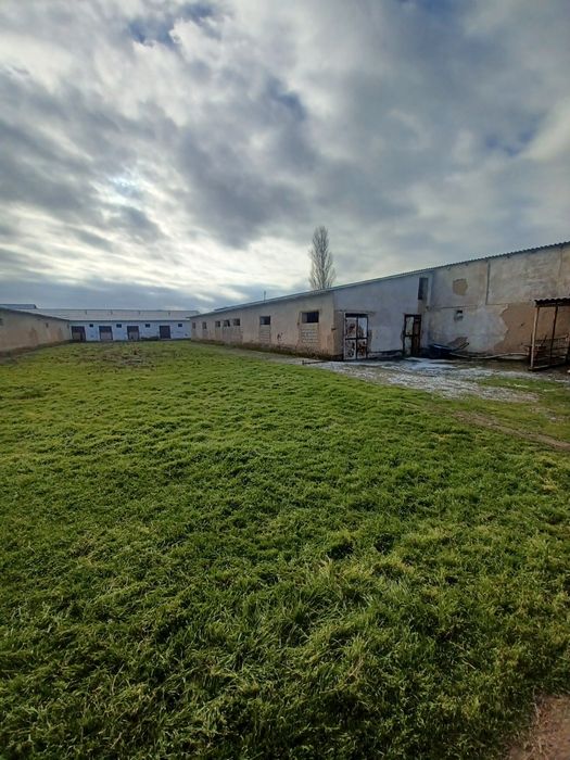 Тошкент Вилояти . Охонгоран  Тумани . Галакудук  ФЕРМА    2,7 Гектар .