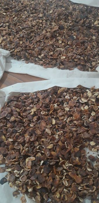 Продаётся урюк сушёный