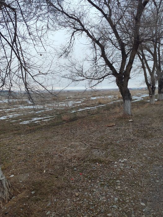 Продам участки дач.массив Сарыбулак