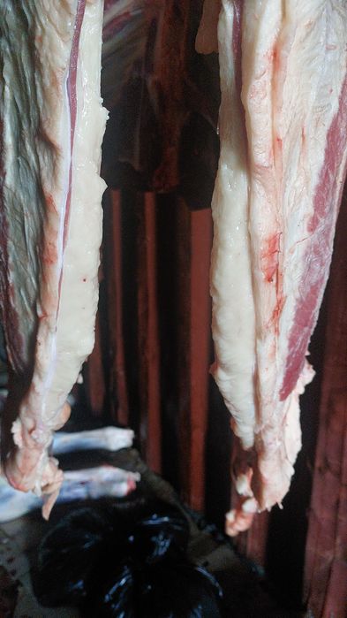 Айғыр, Қазақи жабы.  Жеребец