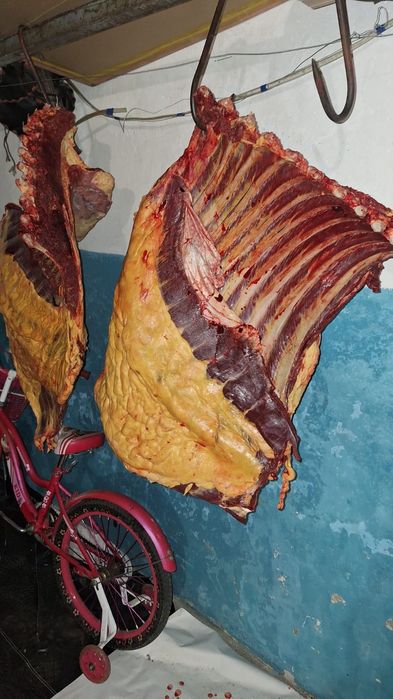 Продам пол туши кобылы