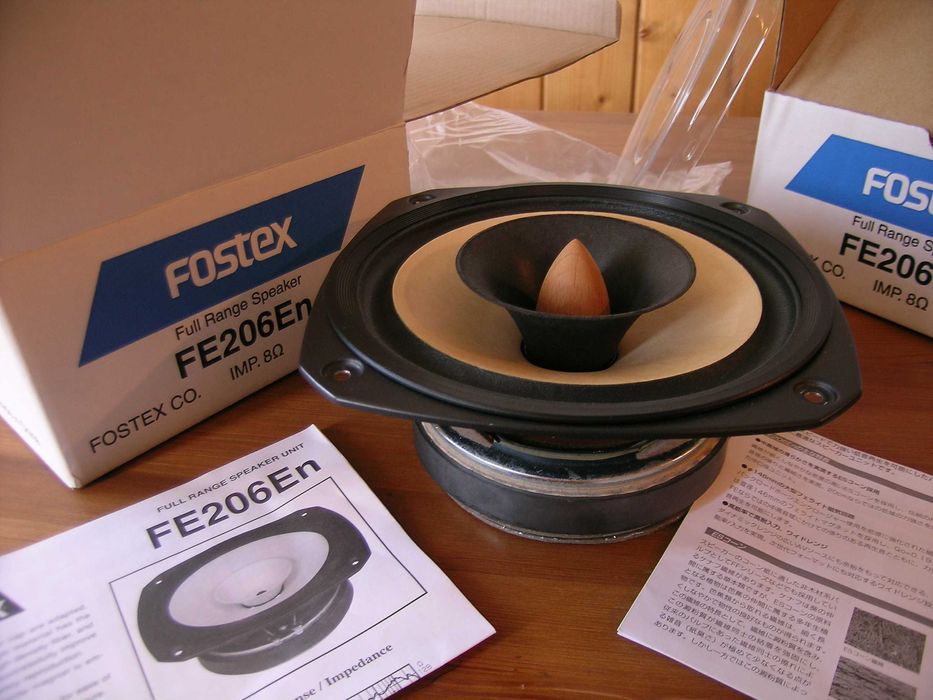 Хорни с FOSTEX FE206En