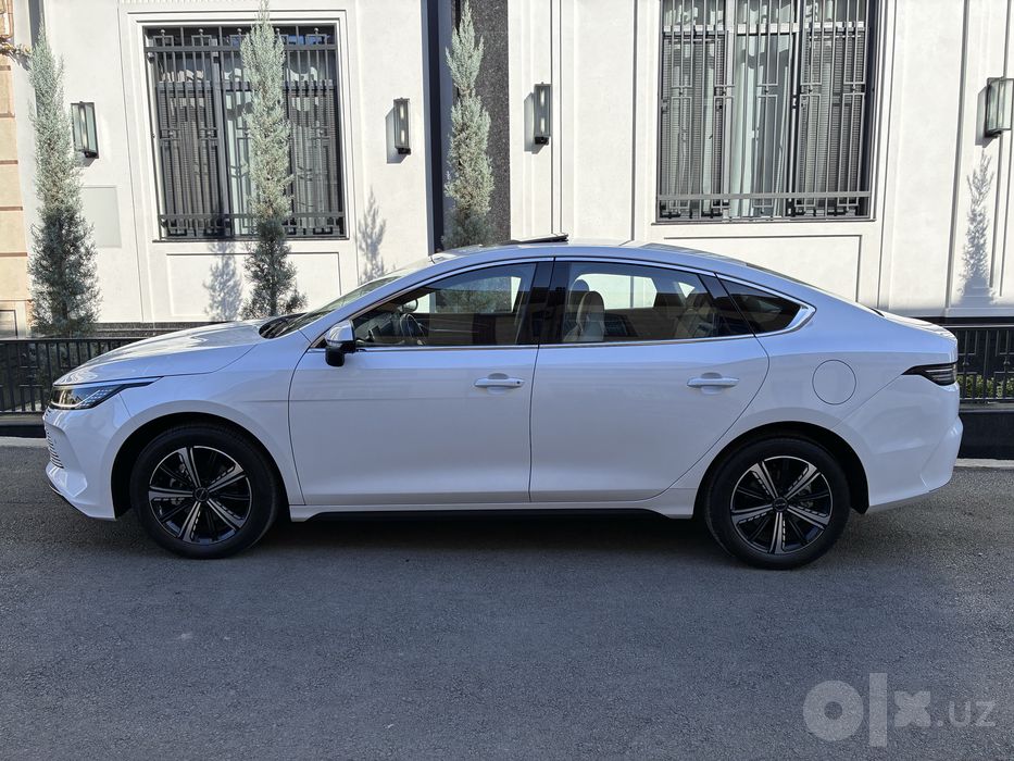 Byd chazor 2023 yil