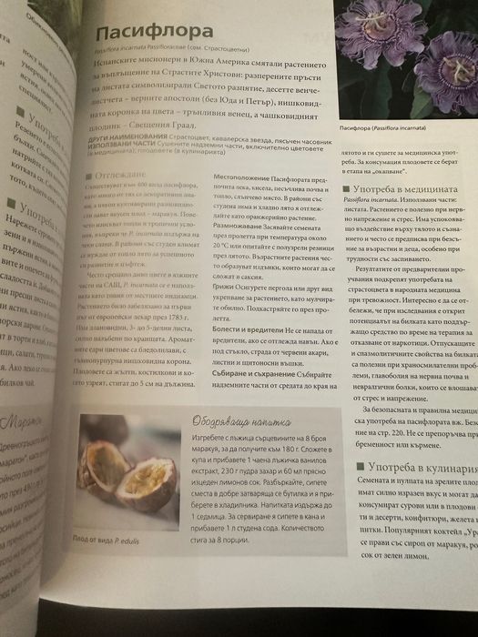 Прекрасна книга за света на билките! "НЕОБЯТНИЯТ СВЯТ НА БИЛКИТЕ" - Рийдърс Дайджест /// книги билки рецепти ботаника
