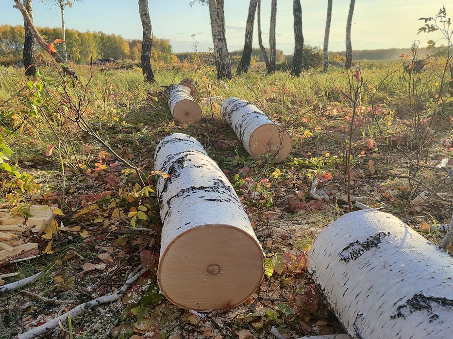 Продам дрова колотые, швырок