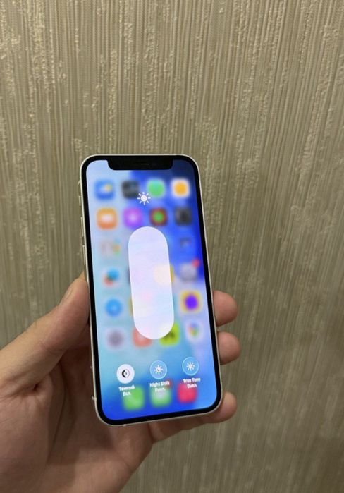 iPhone 12 Mini 128/73%