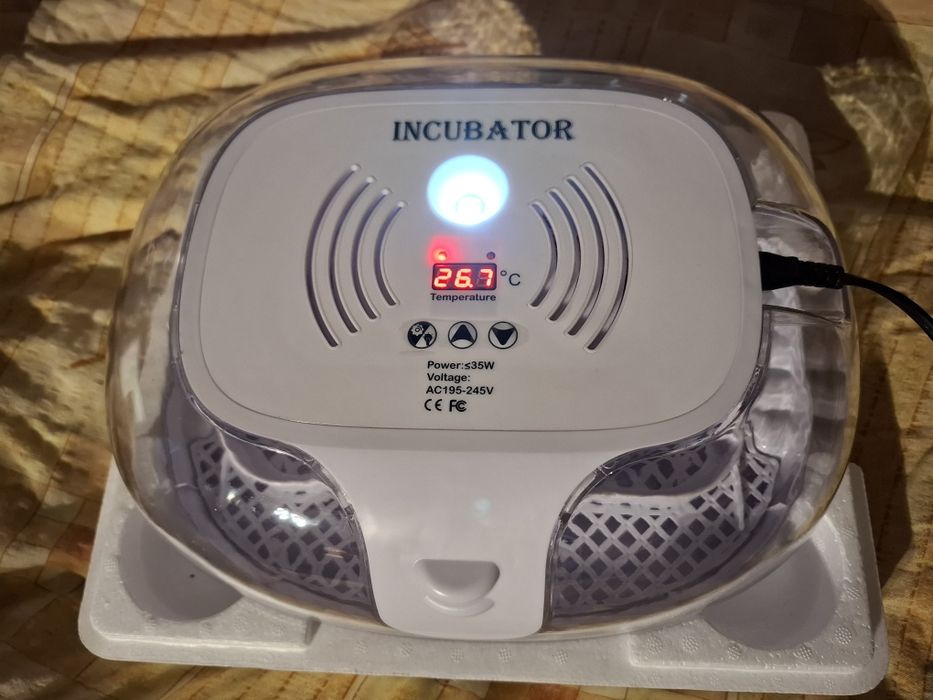 Incubator automatic