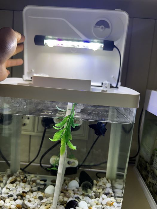 Аквариум 10 литров