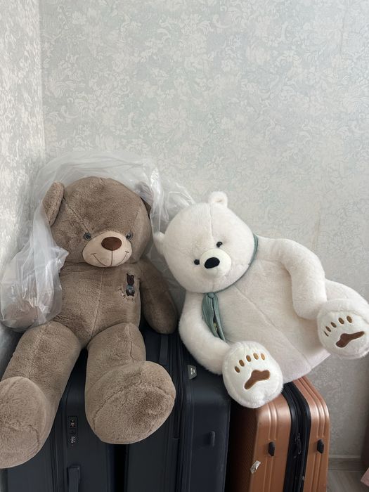 Продам НОВУЮ белую мишку дешево. На 8 марта классный подарок