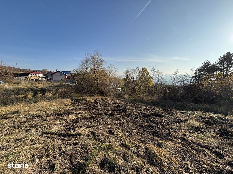 Teren Pomet/3 km Auchan