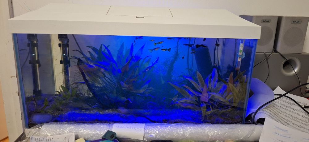 Aквариум Aquael Leddy Day&Night Plus 60