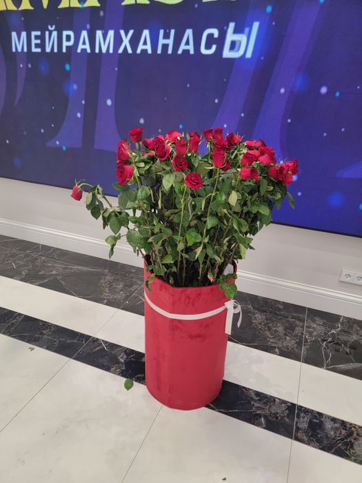Продам цветы недорого