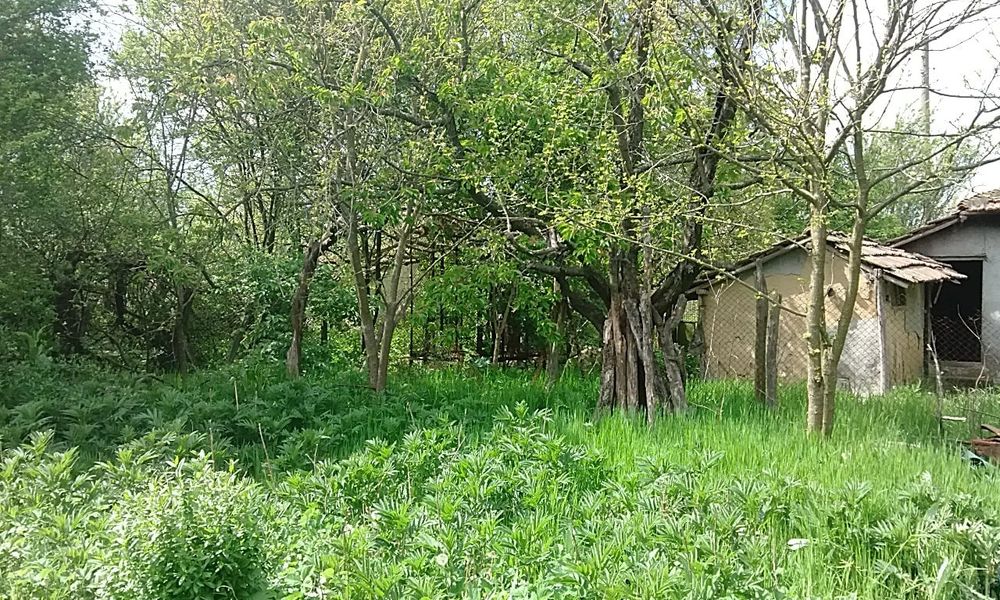 Продава се Къща в с. Калина, Област Добрич - 62 кв.м за 329 €/кв.м - Снимка #9