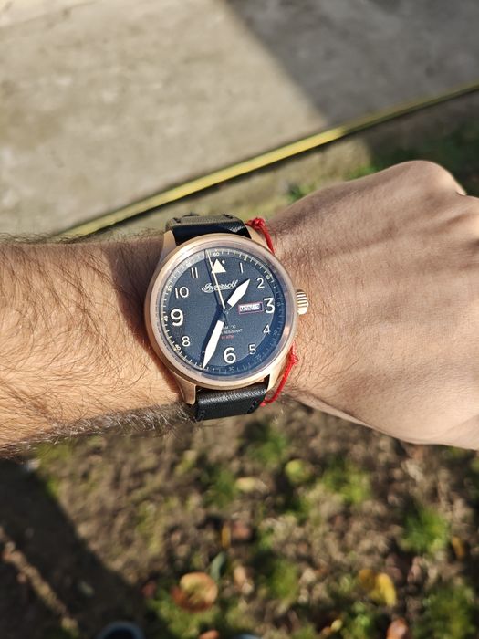 Ingersoll Bateman I01803