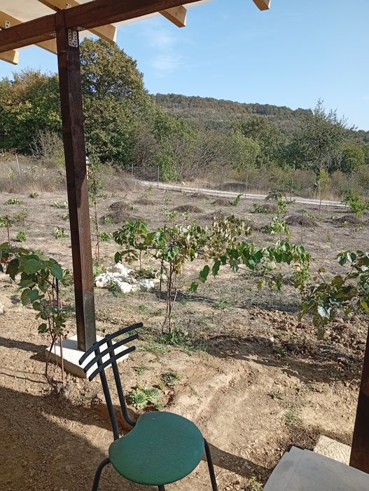 Продава се Земеделски имот в Варна, м-т Евксиноград -  кв.м за 33 €/дка - Снимка #2