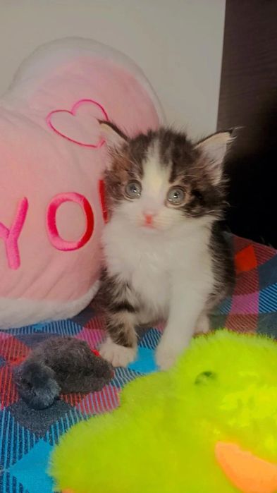 Малышка по имени Зайка