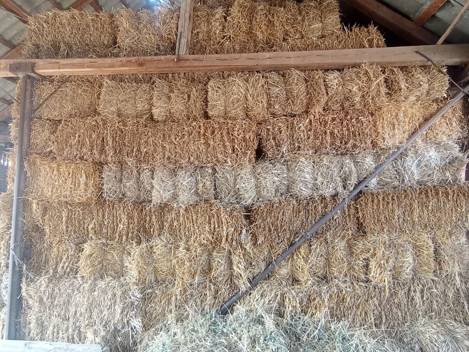 Vând baloți de paie