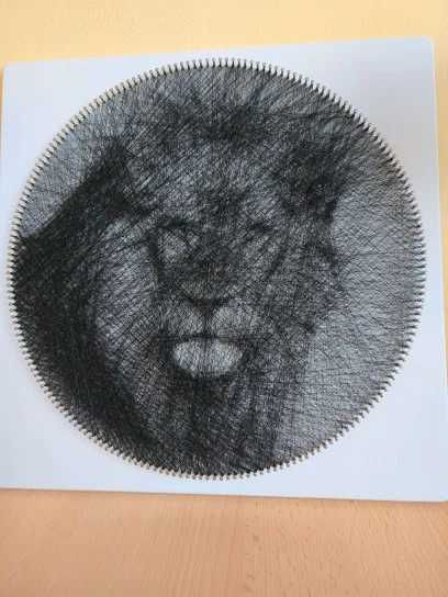 String Art tablou leu unicat Portrete personalizate persoane animale