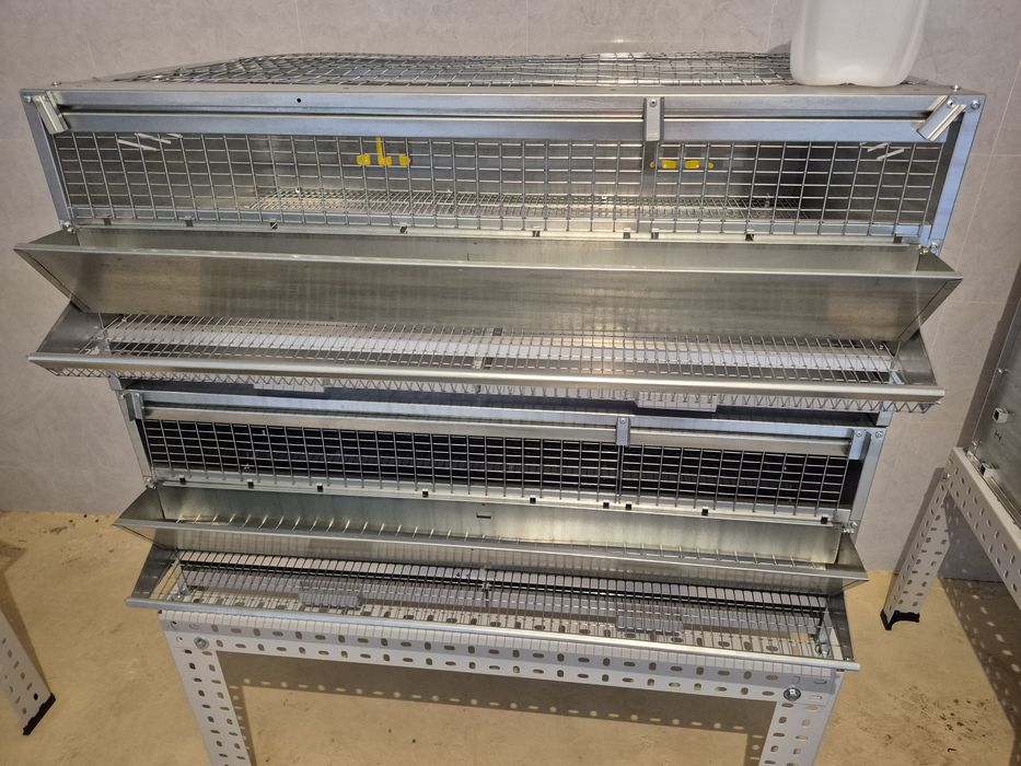 Клетка для перепелов