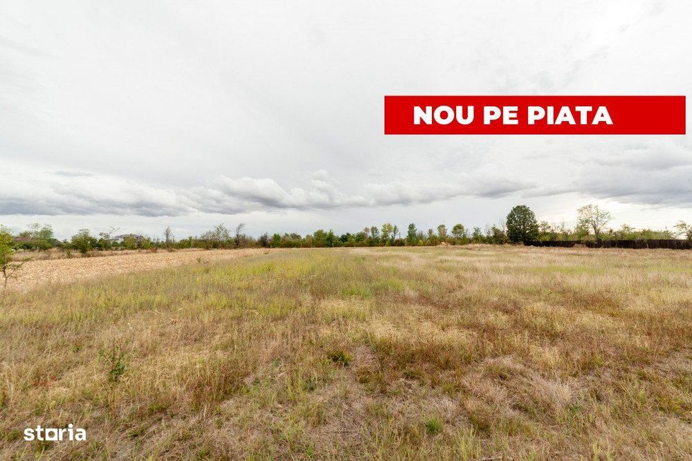 Teren intravilan 3000 mp, Oarja, Arges – amplasament excelent