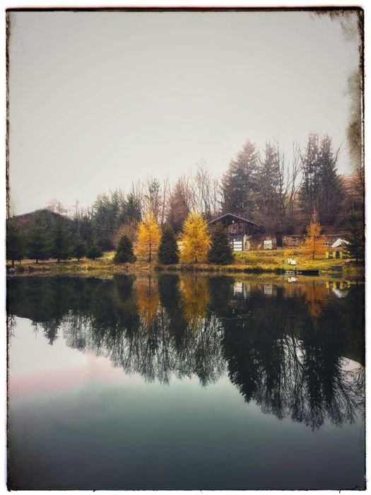 Pensiune cu păstrăvărie - 3,5 h teren pădure/pădure/bazine 6