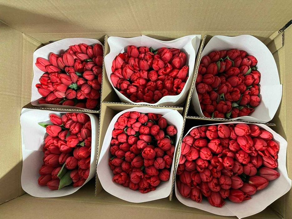 Шикарные тюльпаны с оформлением