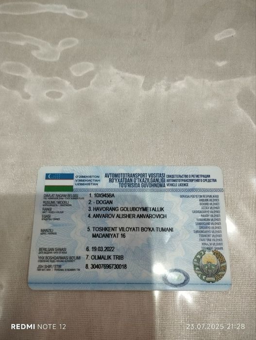 Dogan 1994 yil benzinda