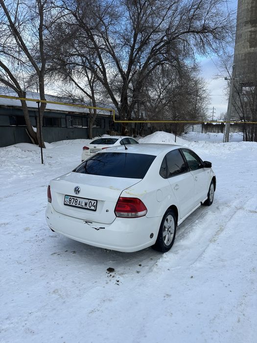 Поло и акцент  в аренду