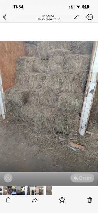 Продам сено в тюках самовывоз центр города