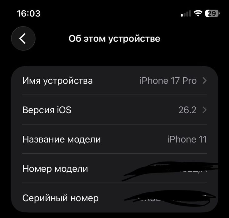 Iphone 11 в корпусе iphone 17 pro