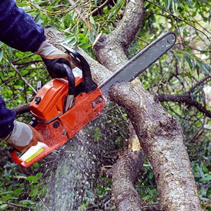 Спил деревьев уборка територии