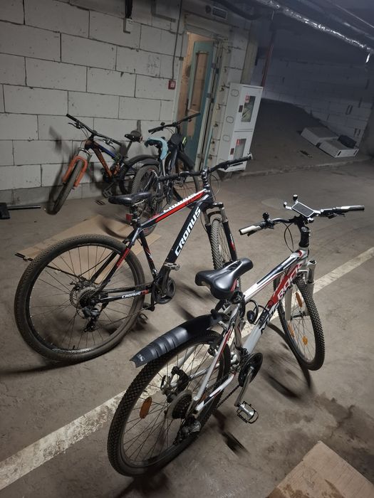 Велики очень отличные