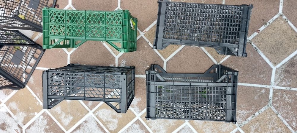 Lădițe plastic noi  2 lei bucata 900 buc