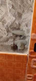 Домашен майстор ремонти