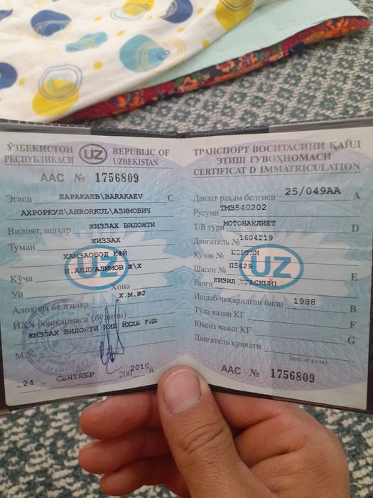 Muravey yangi vepuskasi