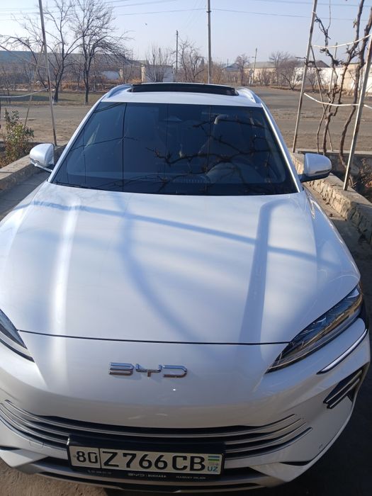 BYD CHEMPION туй маросимлар учун