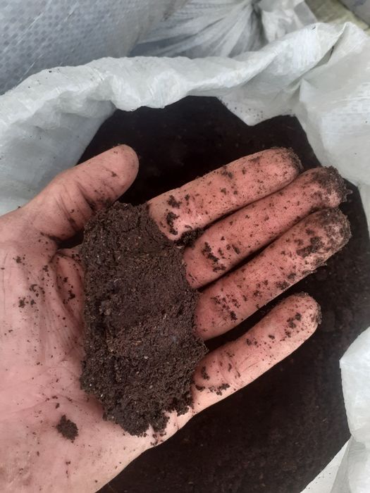 Bio gumis sifatli arzon Navoiy