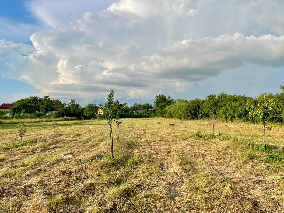 Teren intravilan 7.000 mp (5.500 mp + 1.500 mp bonus) – zonă deosebită, Mischii