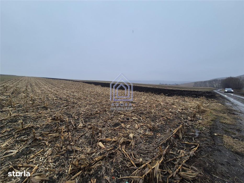 Teren intravilan Moara Carp - zona Ponoare