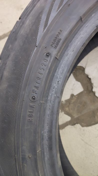 Шины данлоп лето