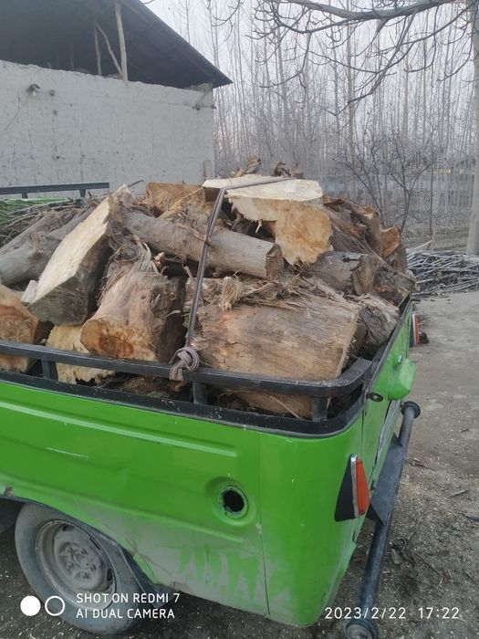 Тандир, печка хамда у́чок учун курук у́тинлар исталган микдорда