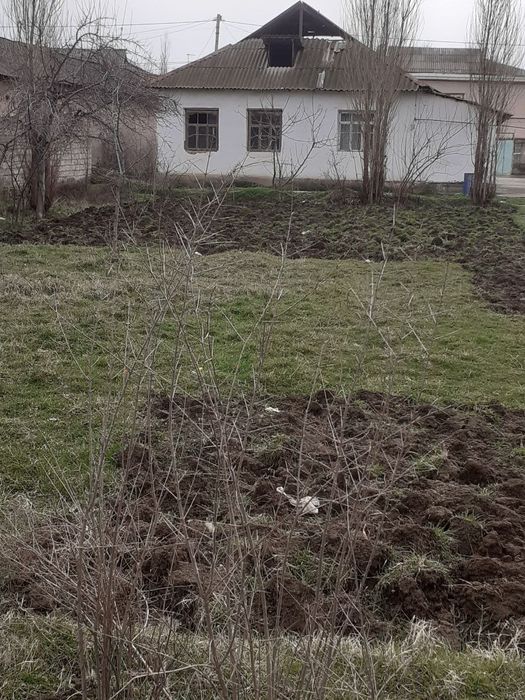 Юкори Чирчик туманки