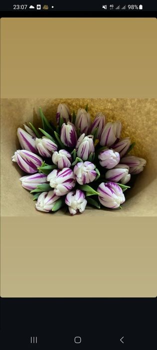 Тюльпаны.    люкс оптом