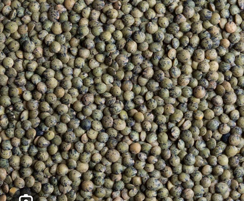 Продам лен и чечевицу