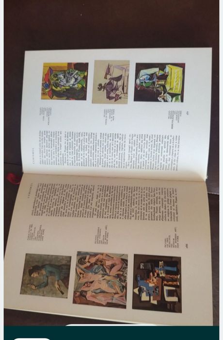 Istoria ilustrata a picturii universale